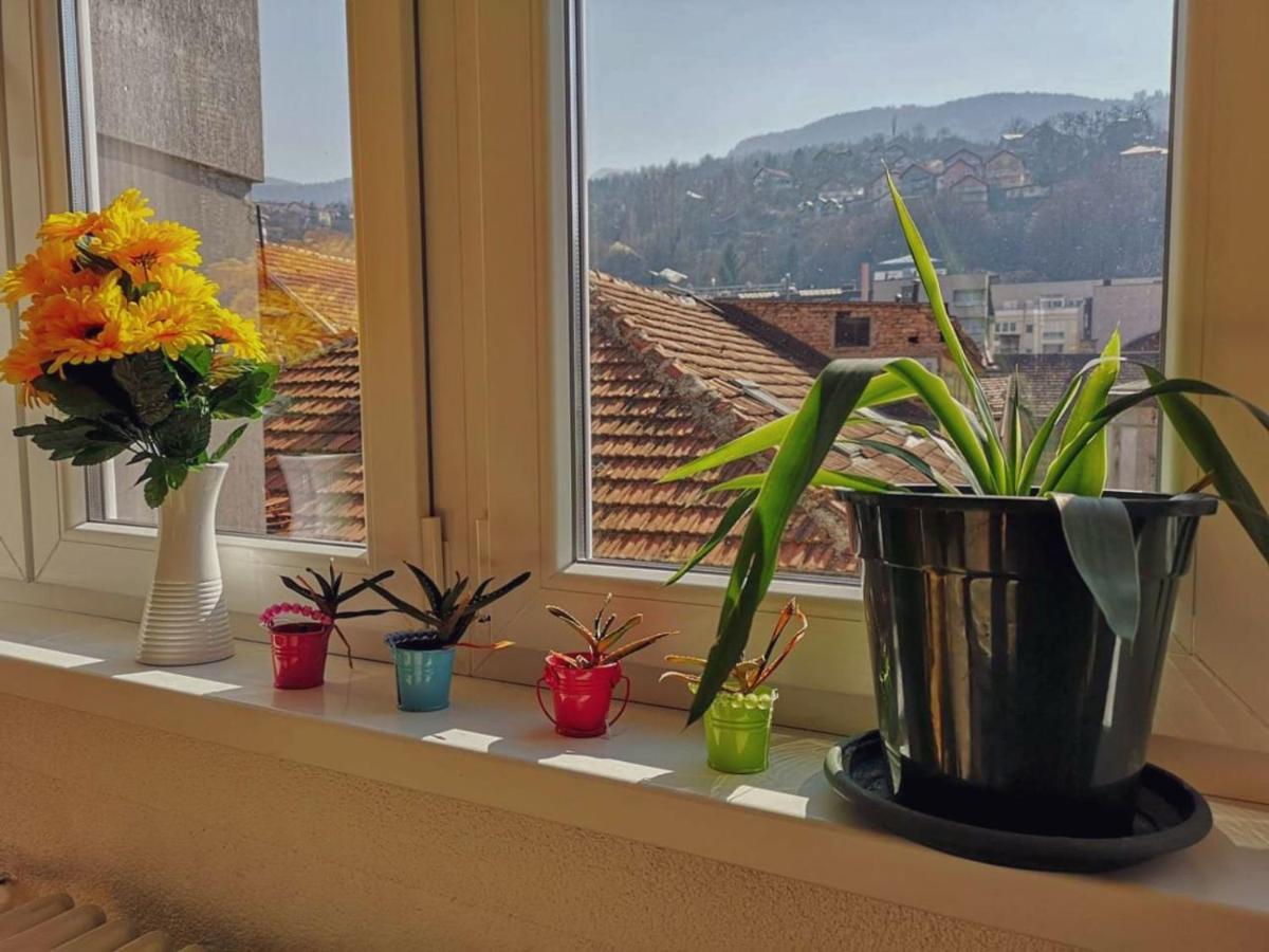 Apartment Skendy